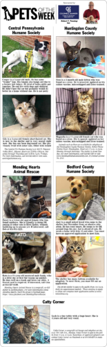 Pets of the Week April 12, 2026